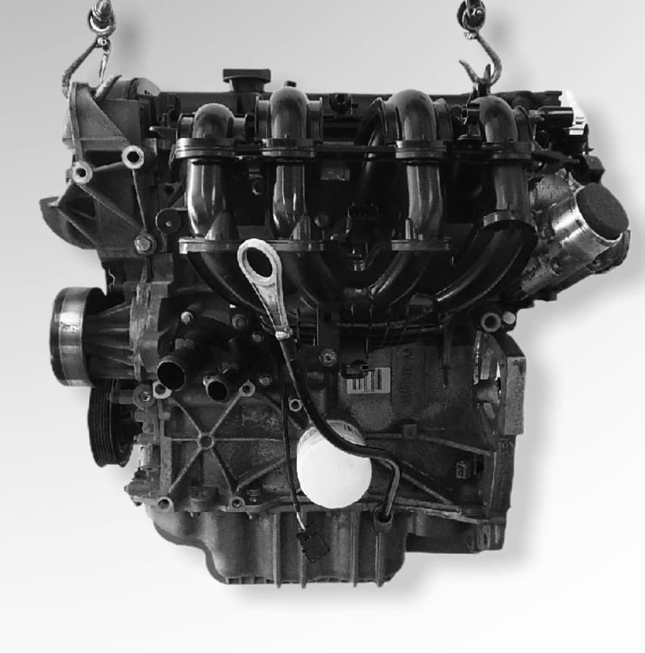 Motore usato STJB per Ford Fiesta 1.0 b
