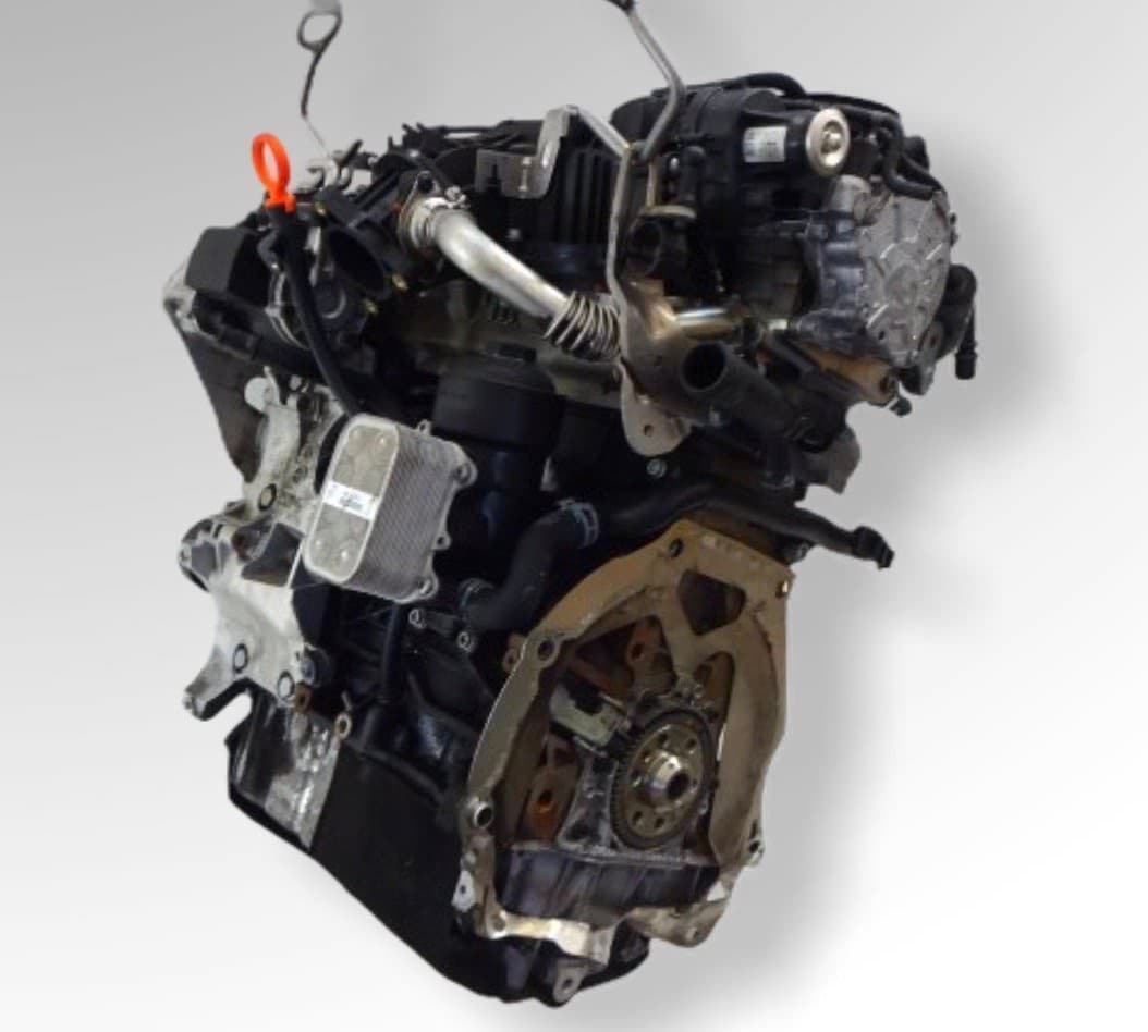 Motore usato CAY per Volkswagen, Audi, Seat, Skoda 1.6 d