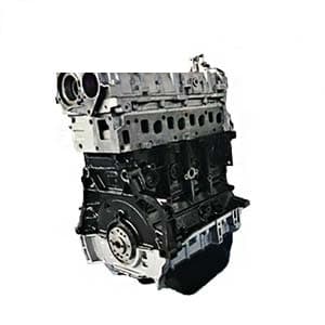 Motore usato 199A3000 Fiat Grande Punto 2008 1.3 mjet