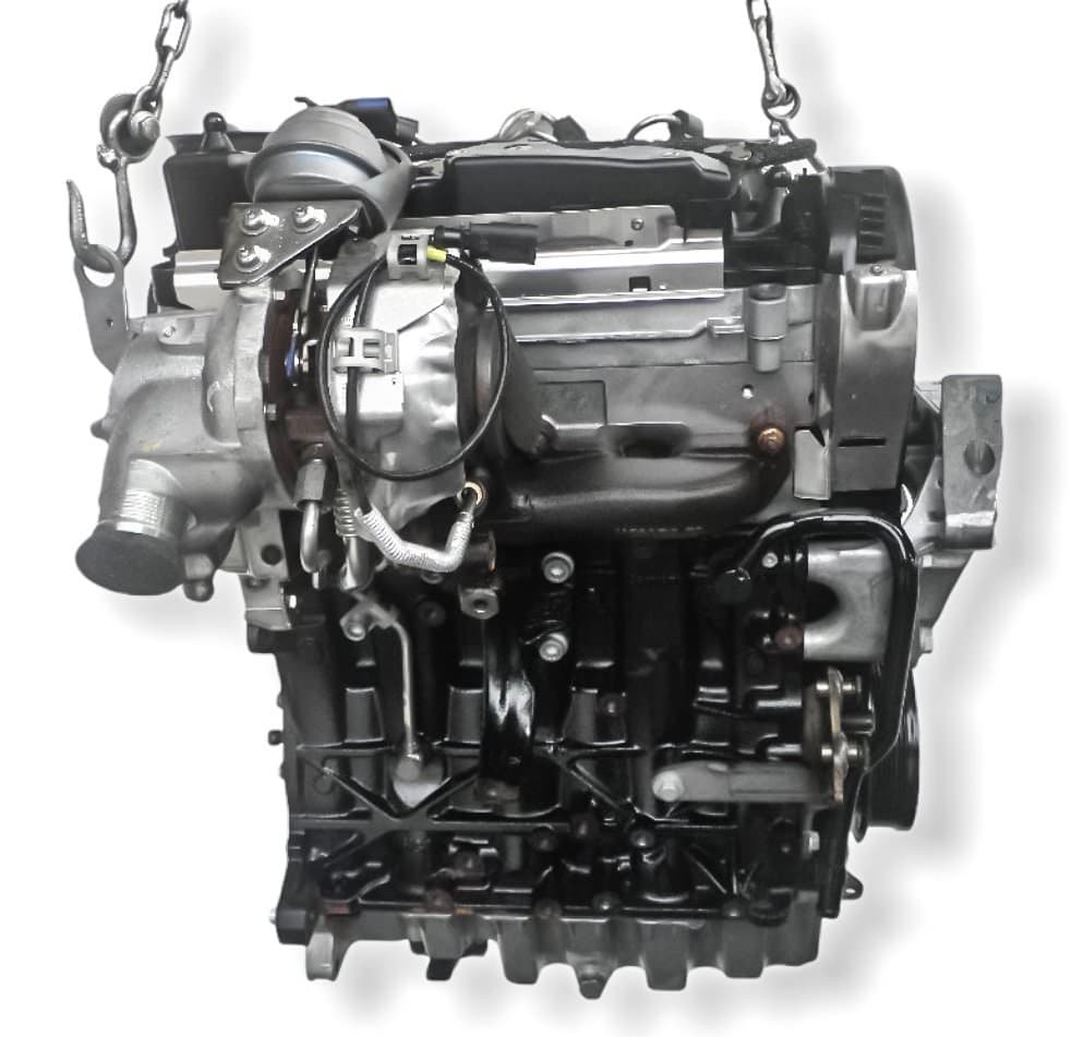 Motore usato DDY per Audi, Volkswagen, Skoda, Seat 1.6 d