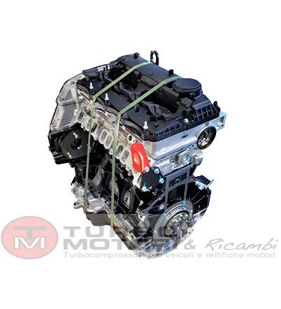 Motore revisionato semi completo F1AE3481D Daily/Ducato