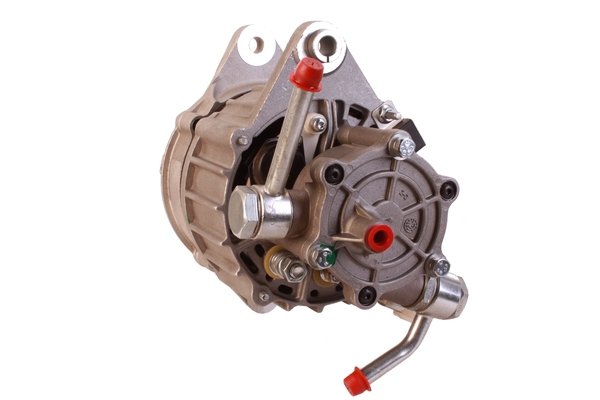 Alternatore F002G10862 per VM Engine - immagine 3