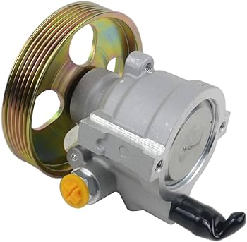 Pompa Sterzo Idraulica 8200024738
  RENAULT,NISSAN